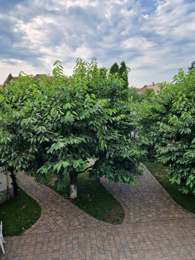 Atlantic Boutique Hotel Târgu-Mureş Exterior foto